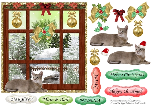 Grey Cat at Christmas Window 1