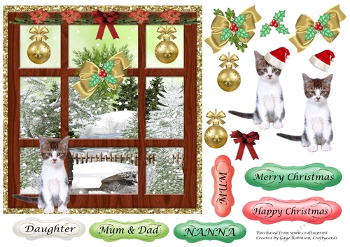 Kitten at Christmas Window 1