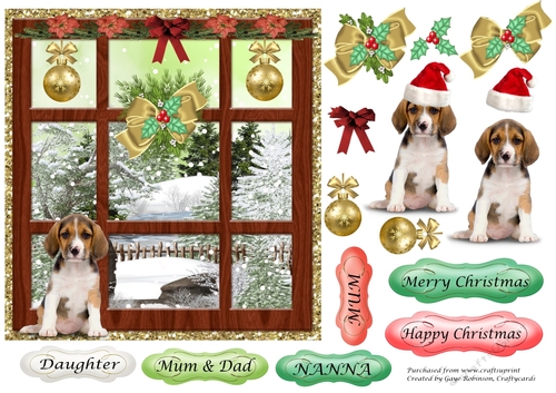Puppy at Christmas Window 