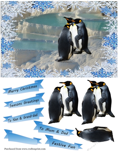 Penguins Christmas Card