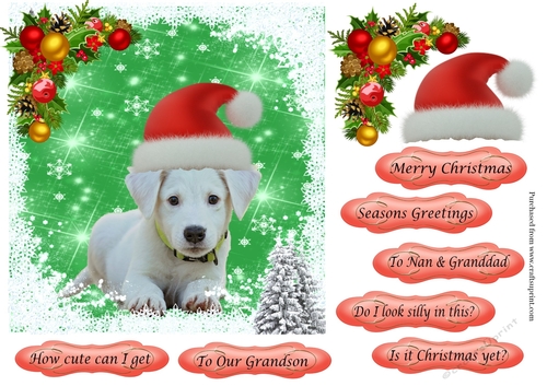 Puppy 2 in Santa Hat Topper