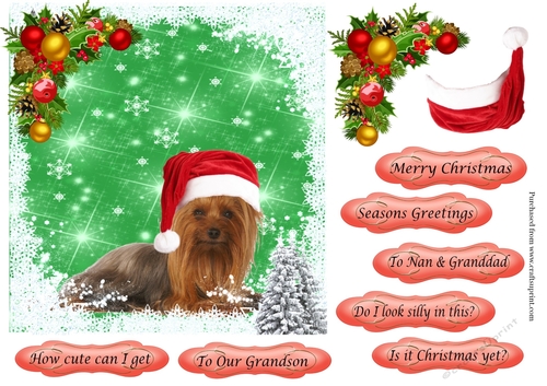 Puppy 3 in Santa Hat Topper