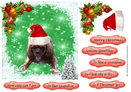 Puppy 4 in Santa Hat Topper