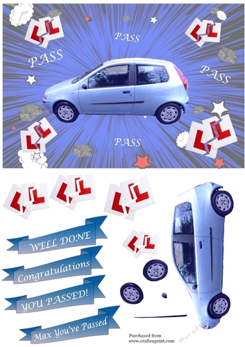 Driving Test Pass - Fiat Punto silver blue MAX