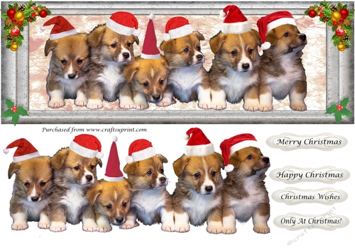 Christmas Puppies in hats DL