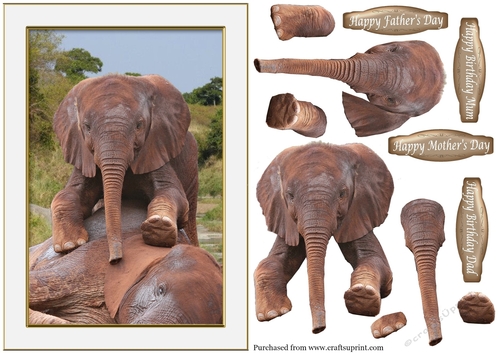 Baby Elephant for Mothers Day, Fathers Day, Birthday Mum or Dad