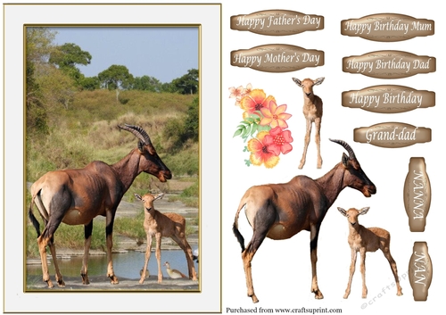 Topi Mother & New Born - various sentiments