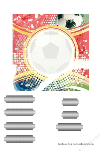 Insert for red goalie cards