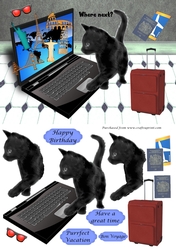 Travel Cat