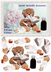 Get Well Soon, We Miss You - Teddy