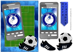 Football Phone card for Millwall Fan