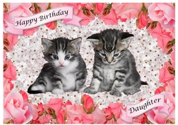 Kittens in Pink Roses Frame - various sentiments MK