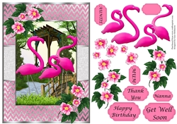 Flamingos (3) in Frame with flowers - various sentiments