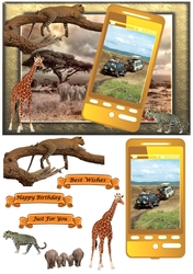 Safari Phone