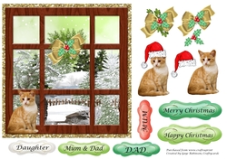 Christmas window with Cat