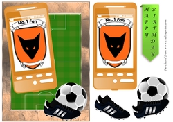 Football Phone Card for Wolverhampton Fan