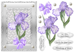Sympathy Iris in silver frame