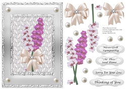 Sympathy Orchids in silver frame