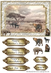 Wildlife on the Savana - various greetings