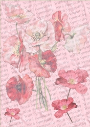 Poppies & With Sympathy script backing paper