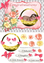 Baby girl in basket