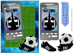 Football Phone card for Falkirk Fan