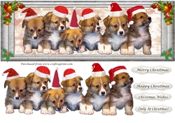 Christmas Puppies in hats DL