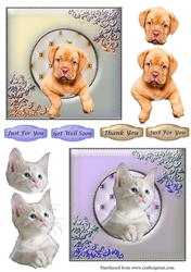Puppy & Kitten looking through frames