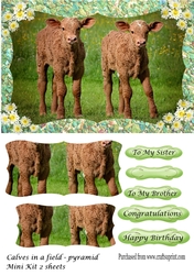 Calves in a field - Pyramid mini kit - 2 sheets