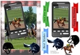 cup818409_3656 - Horse Racing Phone