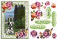 Dalmatian in the garden with frame