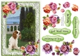 King Charles Spaniel in the garden with frame