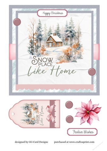 Snow Place like Home