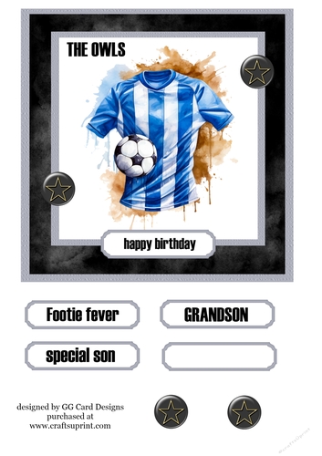 football Topper Sheffield Wednesday 
