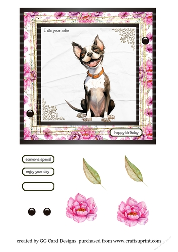 Birthday dog Boston Terrier