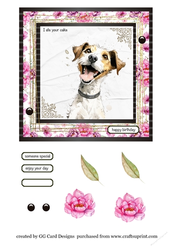 Birthday dog Jack Russell