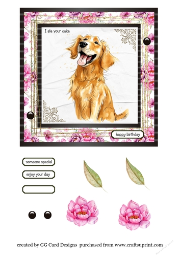 Birthday dog Golden Retriever