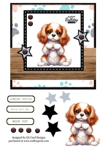 Cavalier King Charles Spaniel Birthday