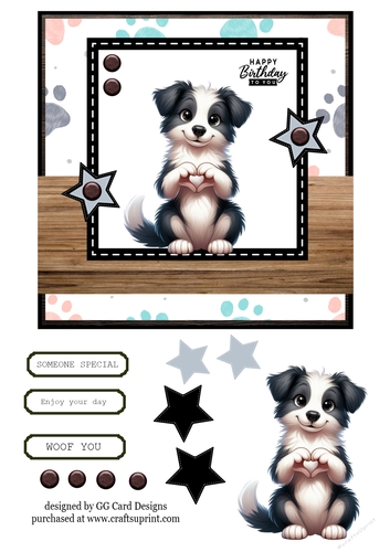 border collie Birthday