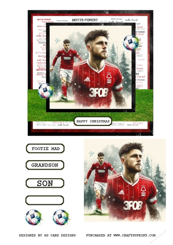 Football topper Nottingham Forest