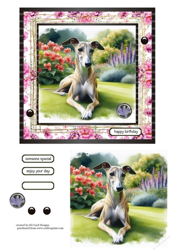 Whippet Birthday 2