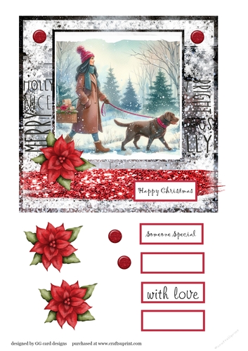 Christmas walk chocolate labrador