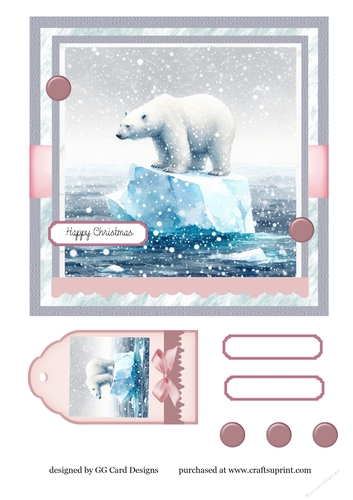 Polar Bear