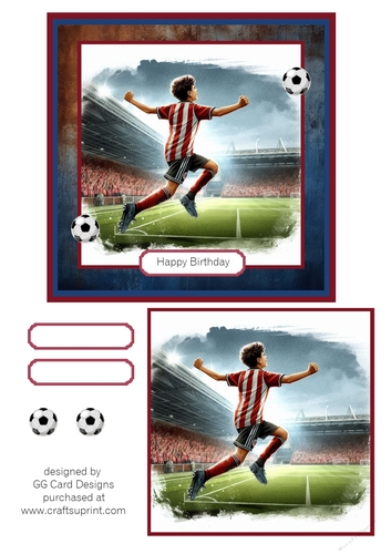 football boy Sheff United