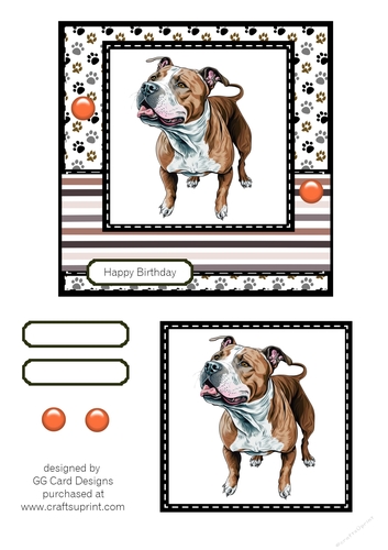 American Bulldog Birthday