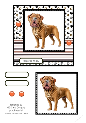 Dogue De Bordeaux Birthday