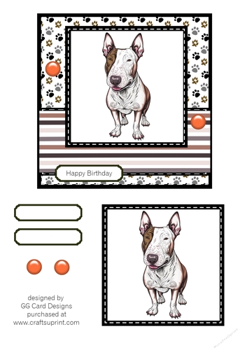 Bull Terrier Birthday