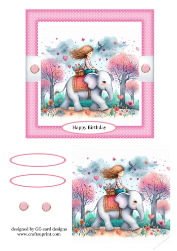 birthday girl riding elephant 