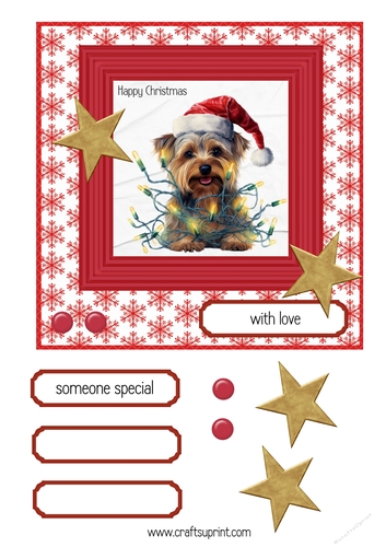 Yorkshire Terrier Christmas
