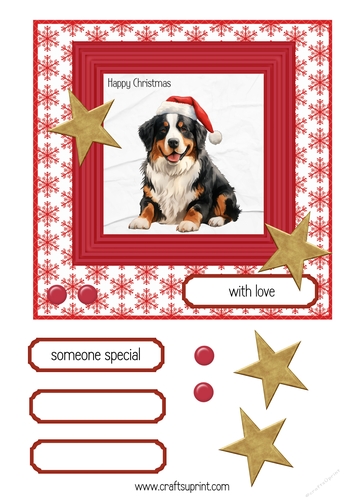 Bermese mountain dog Christmas